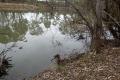MURRAY RIVER FRONTAGE RIVER STREET COROWA