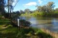 Absolute Murray River frontage