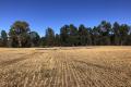 MIXED CROPPING/GRAZING COUNTRY IN SOUGHT AFTER LOCATION