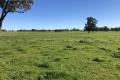 ESTATE OF THE LATE I.R. KOTZUR - SMALL MIXED CROPPING/GRAZING PROPERTY IN SOUGHT AFTER DISTRICT
