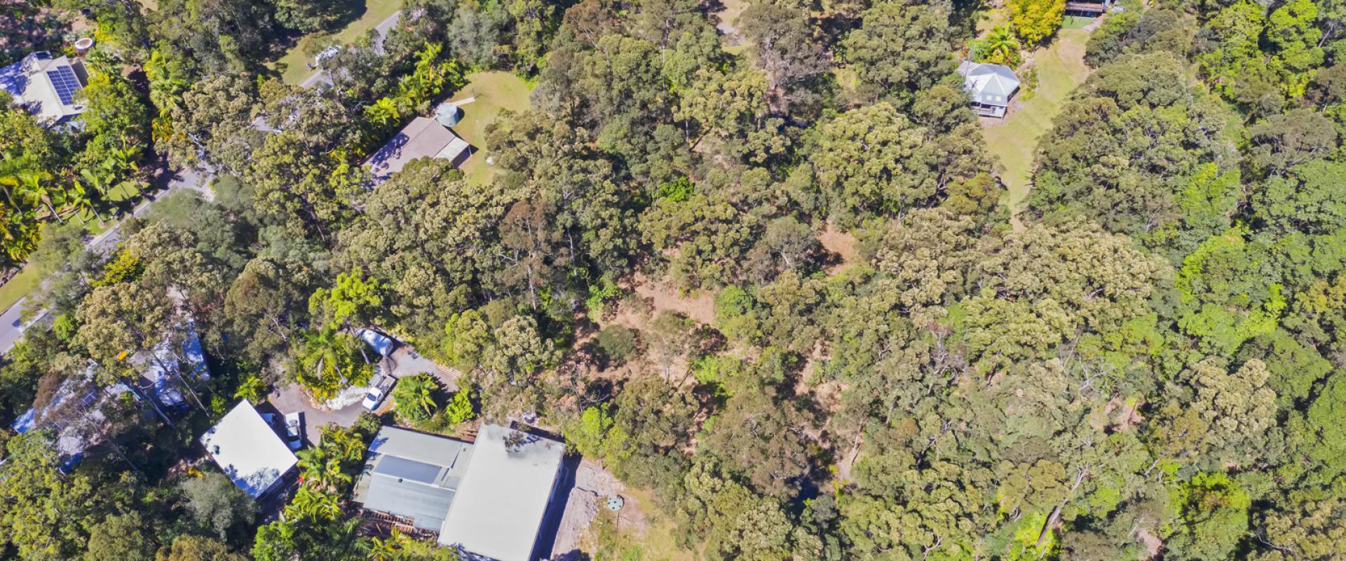 Yandina Realty Be One With Nature Tranquil Ninderry