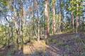 Stunning acreage property with town water