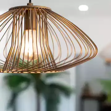 Draupati B testimonial image