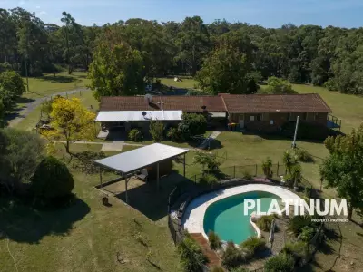 Sue-anne C testimonial image