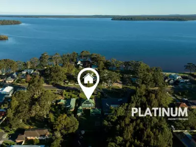 Dale  B testimonial image