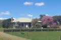 Delightful renovated weatherboard cottage
