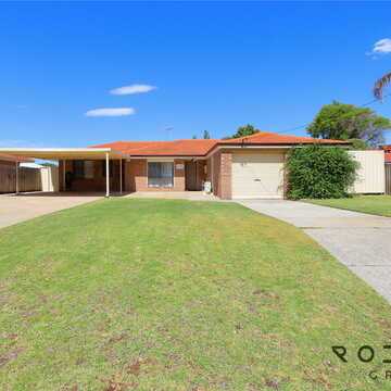 Peter  R testimonial image