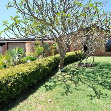 Luigi C testimonial image