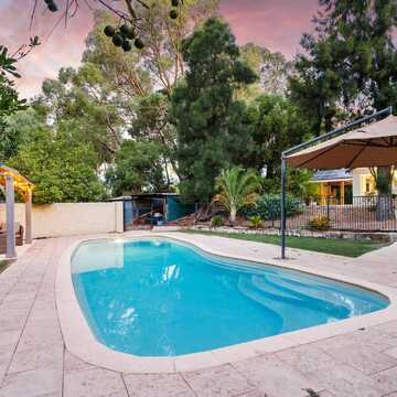 Diane P testimonial image