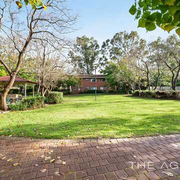 Angelo T testimonial image