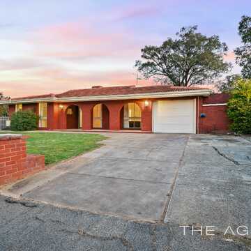 Diana S testimonial image