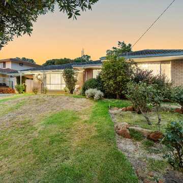 Roy  H testimonial image