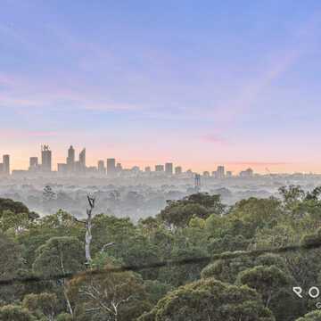 Paul M testimonial image