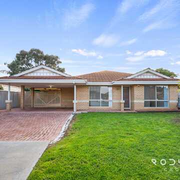 Neil  P testimonial image