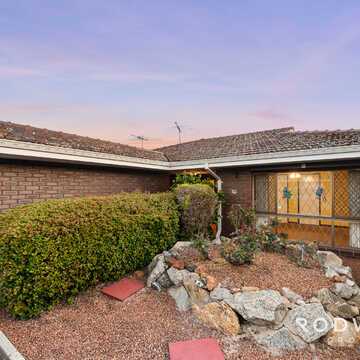 peter k testimonial image