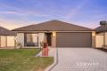 STUNNING FAMILY HOME WITH POWERED SHED!