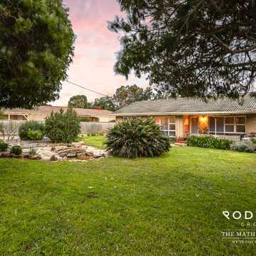 Zeng Z testimonial image