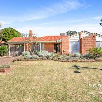 Zeng Z testimonial image