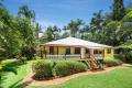 Classic Queenslander Hidden In The Rainforest
