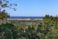 Views from the Trees to the Ocean