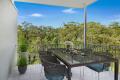 Modern Tree Top Living 