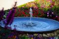 Pond Servicing & Water Feature Business For Sale Melbourne Area