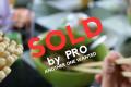 Asian Restaurant For Sale Goulburn Valley Area