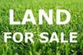 PRICED to SELL: LAND ONLY FOR SALE in Marsden Park-New Park