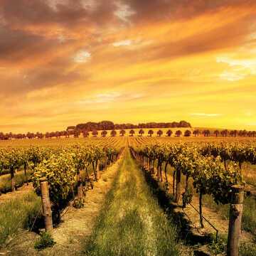 Fernando Andrade testimonial image