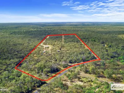 Patricia  B testimonial image