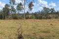 QUALITY LIFESTYLE BLOCK - 39 ACRES + VIEWS REDUCED TO $270,000!!