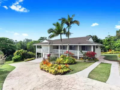 Tonica B testimonial image