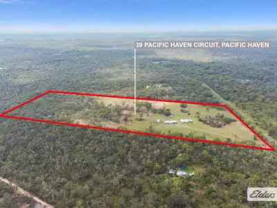 David  K testimonial image