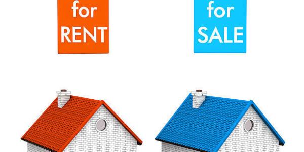 Buderim and Sunshine Coast Market during COVID-19