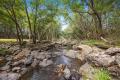 River front acreage with endless potential