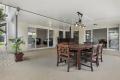 SOLD By Jamie Holbrook