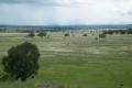 80 Hectares                                     “HILL TOP”                                              197 acres