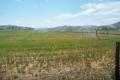 Oustanding Namoi River Irrigation Block