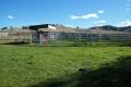 Part “Narara”Great value entry level grazing