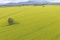 Large scale mixed farming at its best