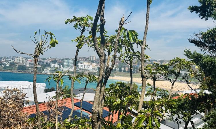 Beach Glimpses From Private Balcony!