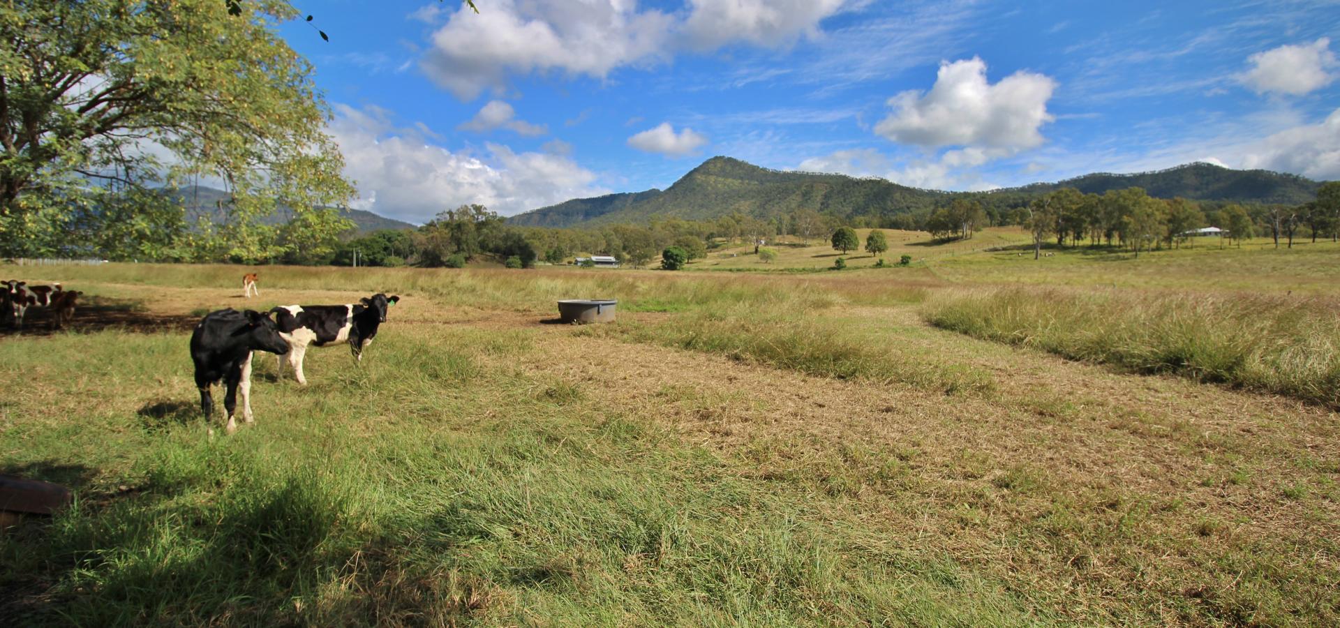 Versatile Thornton Farm on 31.37Ha