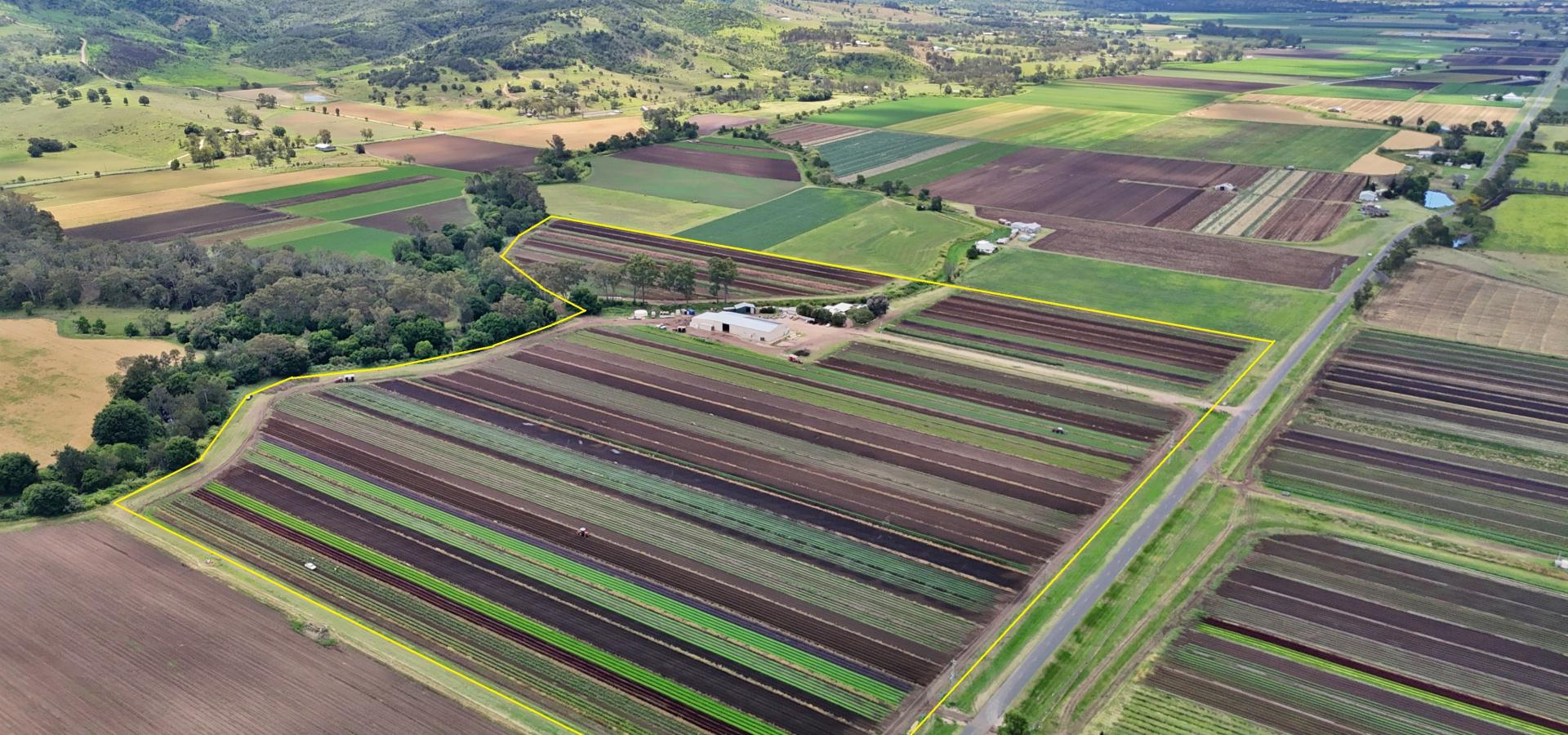 Excellent Features, Improvements and Prime Location