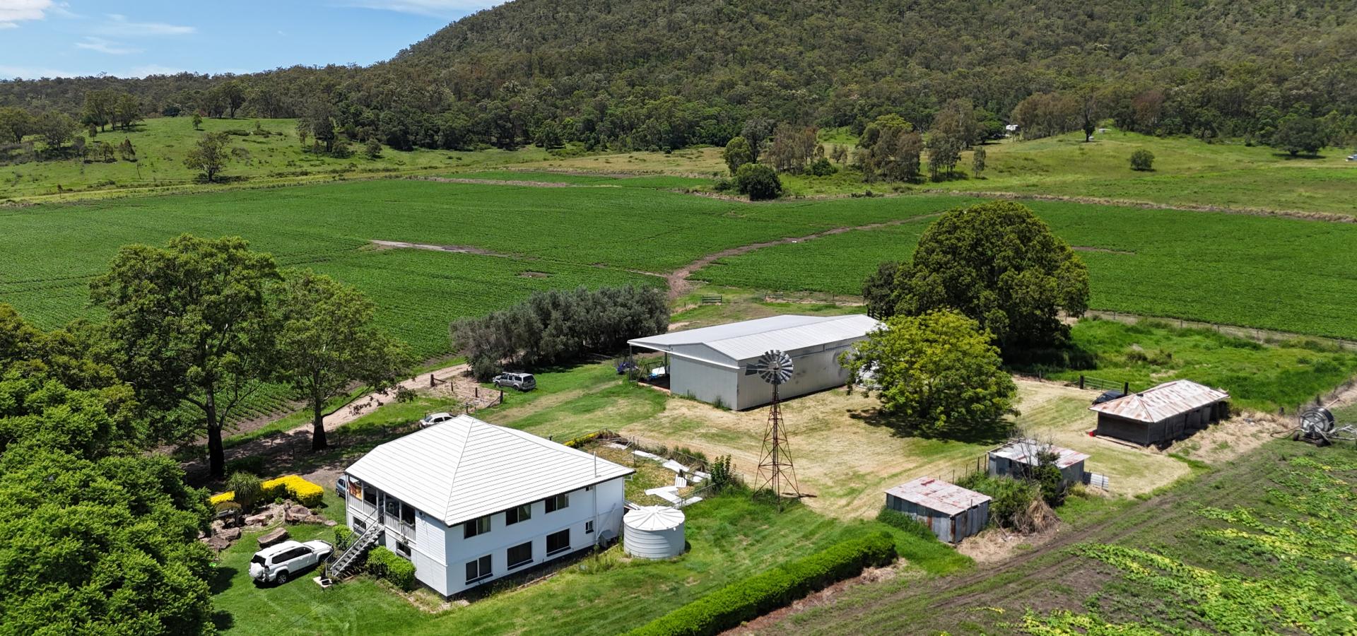 Prime 61-Acre Property with Fertile Cultivation, Ample Water, and Grazing Land – A Rare Find!