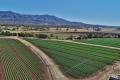 Premium Cropping Opportunity in the Heart of the Lockyer Valley