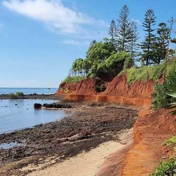 Ron & Gaye testimonial image