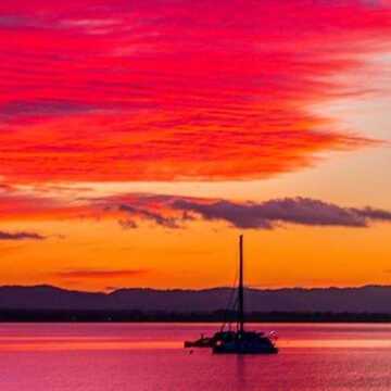 Ron & Gaye testimonial image