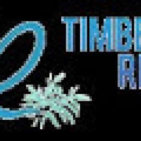 Timbertown Retreat photo