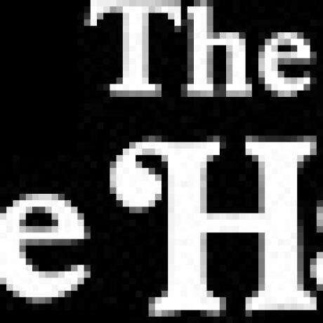 Treehaven Tourist Park photo