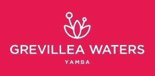 Grevillea Waters Yamba